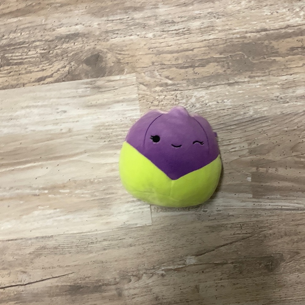 “ Jackie” original squishmallow